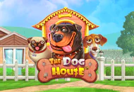 The Dog House